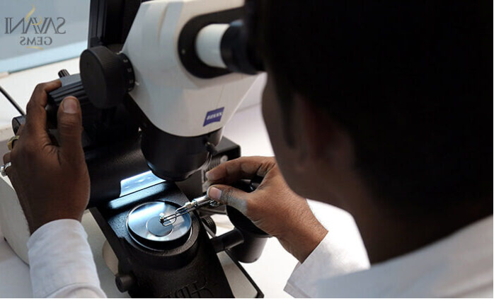 microscope-sorting-02